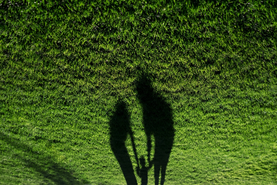 The shadows of a family on the lawn in Swarthmore.